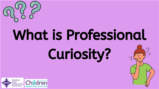 What is professional curosity